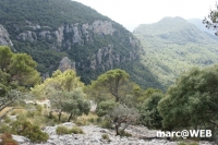 tramuntana 42