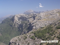 tramuntana 43