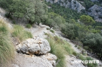 tramuntana 44