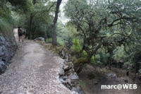 tramuntana 45