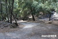 tramuntana 47