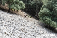 tramuntana 48
