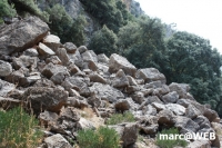 tramuntana 49