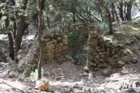 tramuntana 50