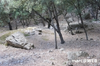 tramuntana 51