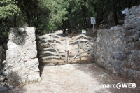 tramuntana 52