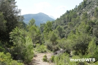 tramuntana 53