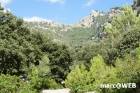 tramuntana 54