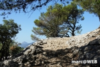 tramuntana 6