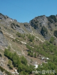 IM004864
