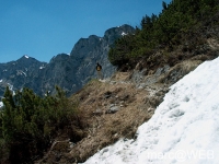 IM004900