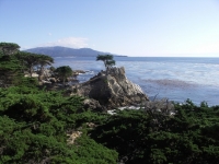 PICT0050.JPG