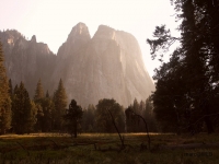 PICT0268.JPG