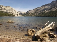 PICT0468.JPG
