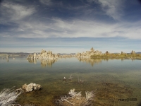 PICT0500.JPG