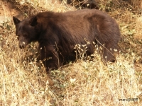 PICT0590.JPG