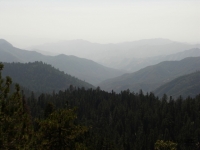 PICT0667.JPG