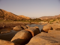 PICT0710.JPG
