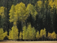 PICT0903.JPG