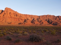 PICT0934.JPG
