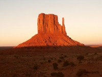 PICT1012.JPG