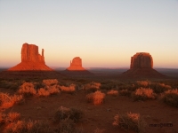 PICT1016.JPG