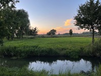 IMG_3567