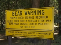 Yosemitel.JPG