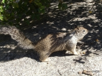 Yosemitel__12_.JPG