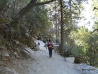 Yosemitel__1_.JPG