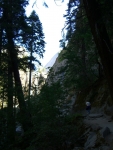 Yosemitel__3_.JPG
