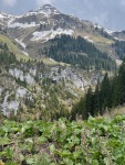 20210604-164726-IMG_2196