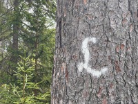 20210605-122912-IMG_2228