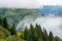 20250725-DSC06556