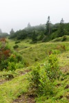 20250725-DSC06565