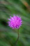 20250725-DSC06587