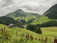 IMG_1073