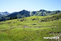 DSC01788.JPG