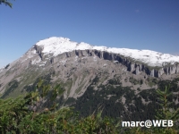 PICT0395.JPG