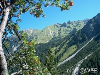 Widderstein_im_Kleinwalsertal