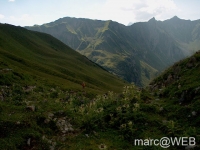 Widderstein_im_Kleinwalsertal__13_