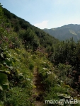 Widderstein_im_Kleinwalsertal__15_
