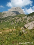 Widderstein_im_Kleinwalsertal__16_