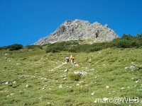 Widderstein_im_Kleinwalsertal__2_