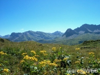 Widderstein_im_Kleinwalsertal__3_