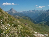Widderstein_im_Kleinwalsertal__7_