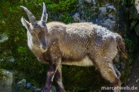 20180414-122507-DSC04449