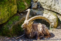 20180414-122538-DSC04450