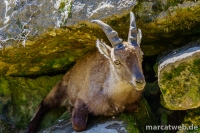 20180414-122605-DSC04452