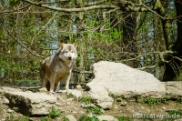 20180414-140143-DSC04286